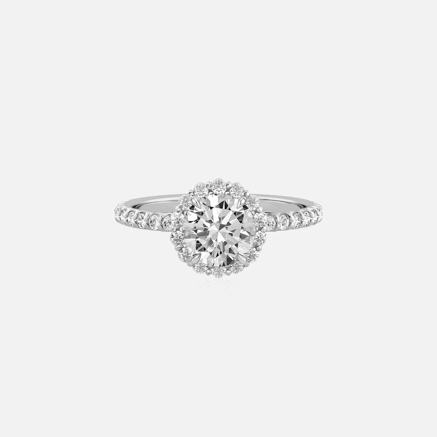 The Halo Amadora Round Pave Moissanite Ring - KNT - Engagement Rings, Wedding Bands & Fine Jewelry