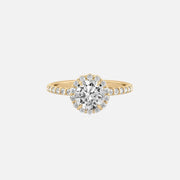 The Halo Amadora Round Pave Moissanite Ring - KNT - Engagement Rings, Wedding Bands & Fine Jewelry