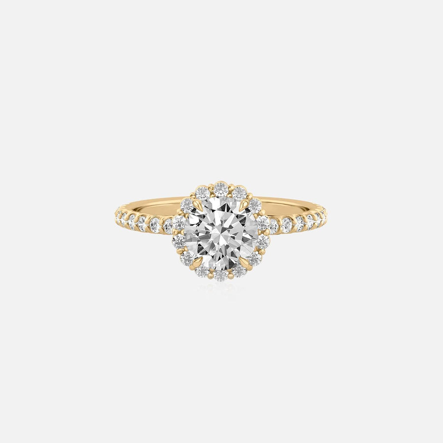 The Halo Amadora Round Pave Moissanite Ring - KNT - Engagement Rings, Wedding Bands & Fine Jewelry