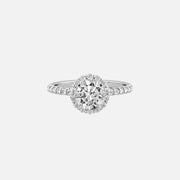 The Halo Amadora Round Pave Moissanite Ring - KNT - Engagement Rings, Wedding Bands & Fine Jewelry