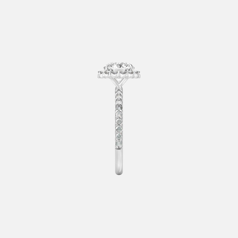 The Halo Amadora Round Pave Moissanite Ring - KNT - Engagement Rings, Wedding Bands & Fine Jewelry