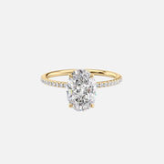 The Hidden Halo Cassia Oval Pave Moissanite Ring - KNT - Engagement Rings, Wedding Bands & Fine Jewelry