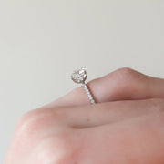 The Hidden Halo Cassia Round Pave Moissanite Ring - KNT - Engagement Rings, Wedding Bands & Fine Jewelry