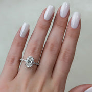 The Hidden Halo Marianne Oval Pave Moissanite Ring - KNT - Engagement Rings, Wedding Bands & Fine Jewelry