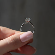 The Clara Round Pave Moissanite Ring - KNT - Engagement Rings, Wedding Bands & Fine Jewelry