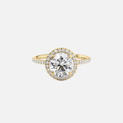 The Halo Michelle Round Pave Moissanite Ring - KNT - Engagement Rings, Wedding Bands & Fine Jewelry