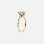 The Natasha Round Pave Moissanite Ring - KNT - Engagement Rings, Wedding Bands & Fine Jewelry
