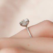  The Pave Kamellie Round Moissanite Ring 14k White Gold 003