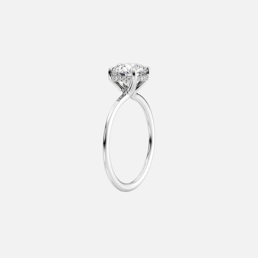 The Sydney Round Solitaire Moissanite Ring - KNT - Engagement Rings, Wedding Bands & Fine Jewelry