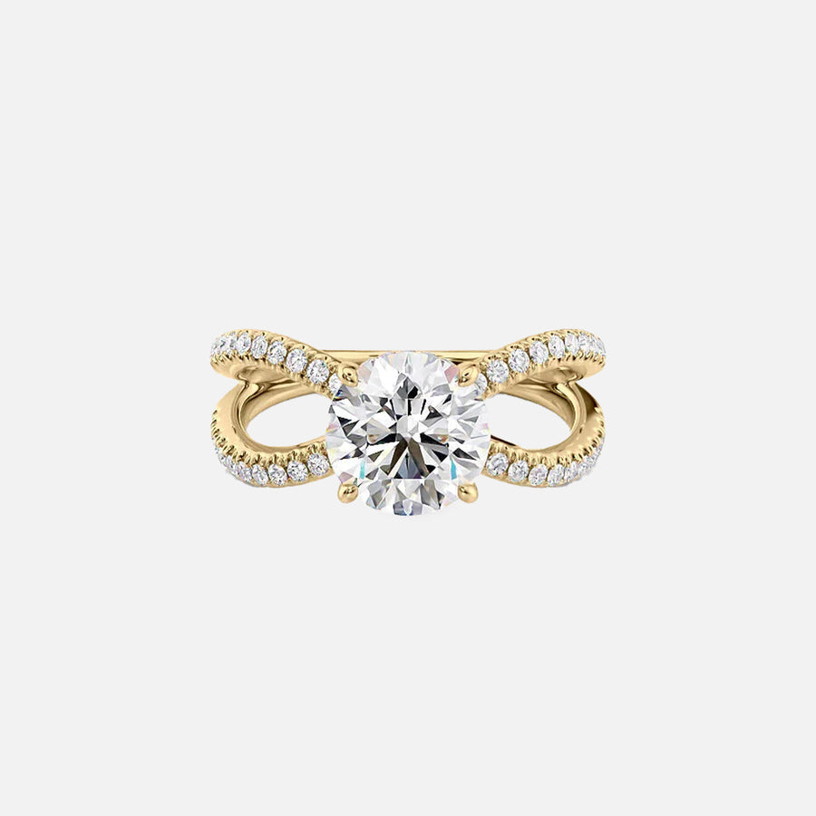 The Zoey Round Moissanite Ring_14k Yellow Gold_001.jpg